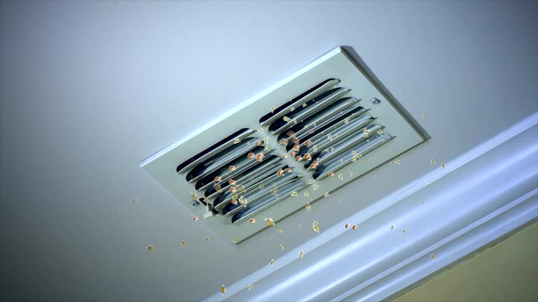 Best HVAC System Cleaning  in Hden Springs, ID