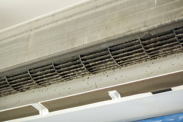 Best Ductwork Cleaning Services  in Hden Springs, ID
